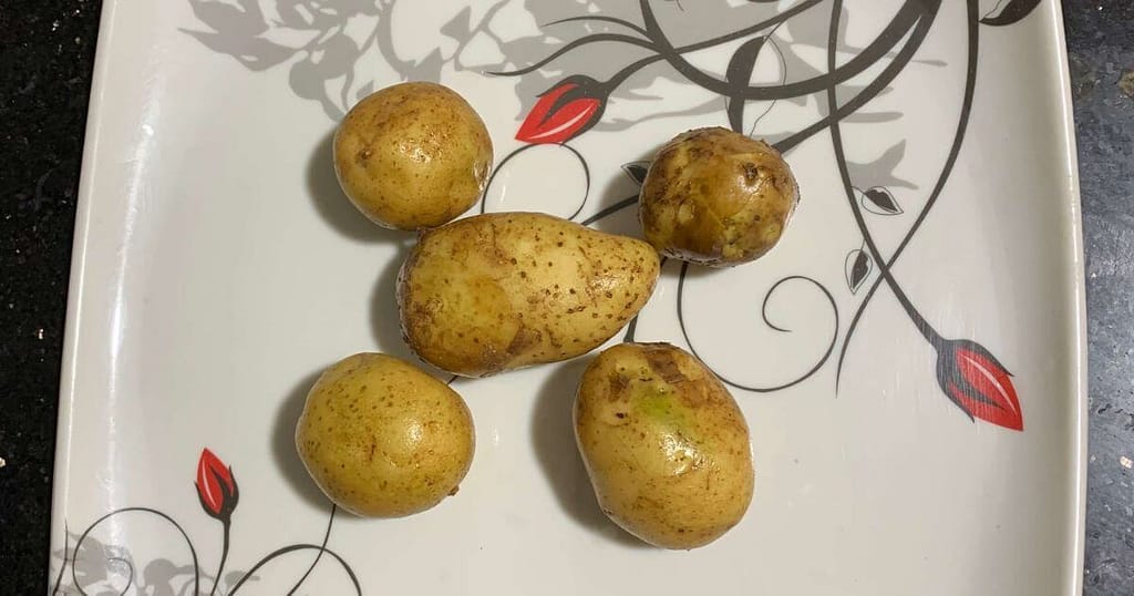 Potato
