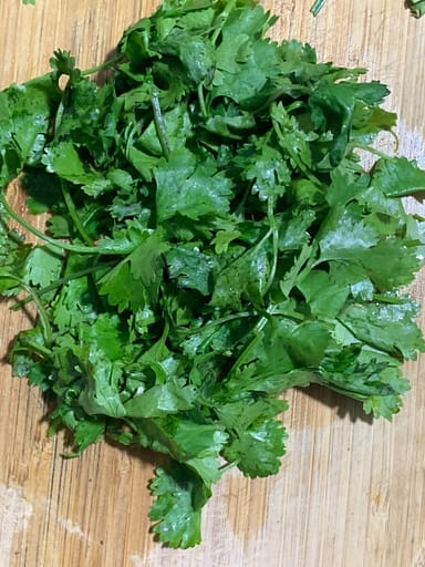 coriander leaves
